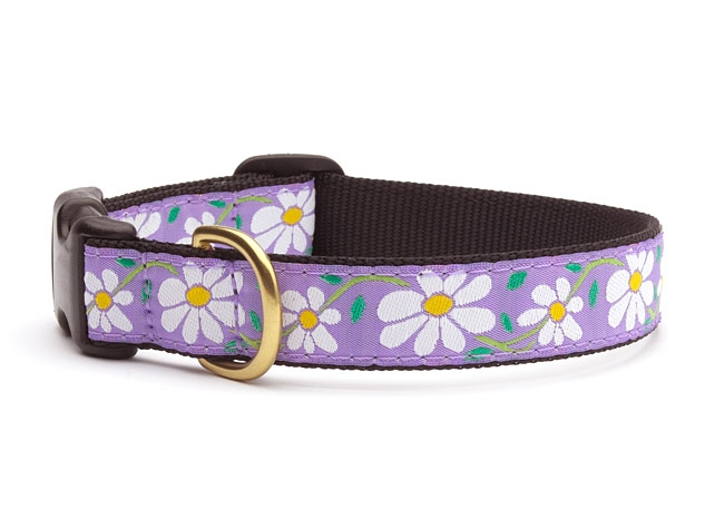 Daisy Cat Collar