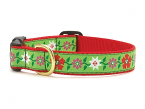 Pointsettia Cat Collar