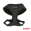 Puppiass14HDotty 1