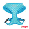 Puppiass14HDotty 3