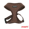 Puppiass14HDotty 4