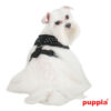 Puppiass14HDotty 5