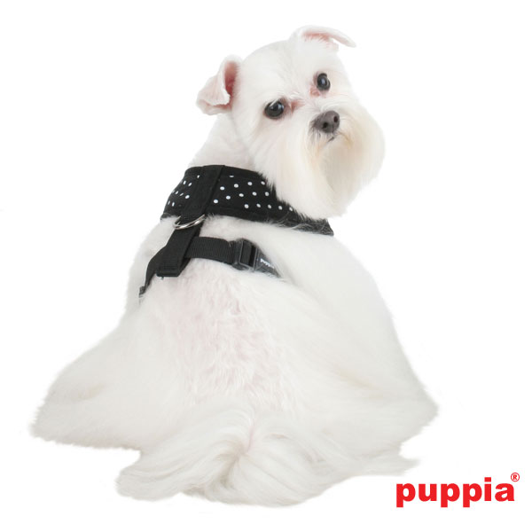 Puppiass14HDotty 5