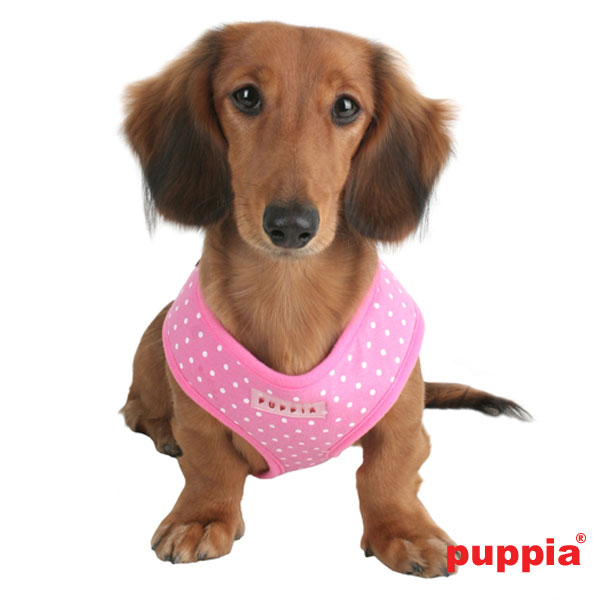 Puppiass14HDotty 6