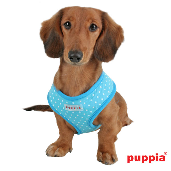 Puppiass14HDotty 7