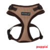 Puppiass14HRitefit 02