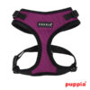 Puppiass14HRitefit 03