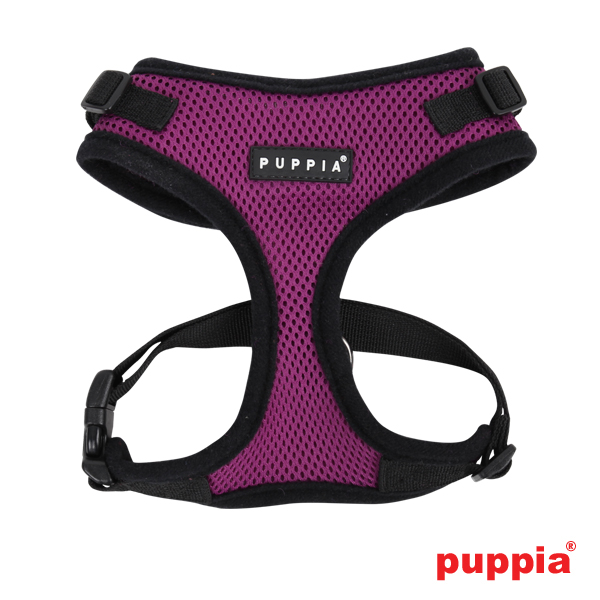 Puppiass14HRitefit 03