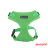 Puppiass14HRitefit 07