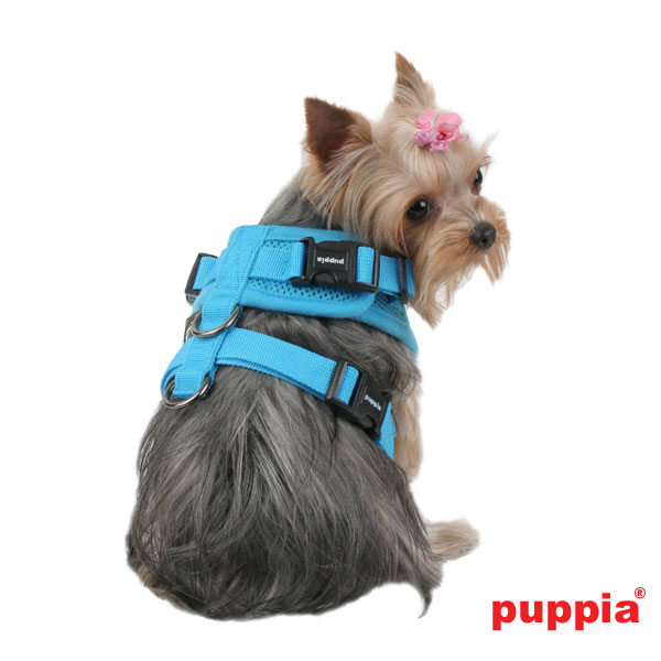 Puppiass14HRitefit 09