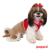 Puppiass14HVivien B 4