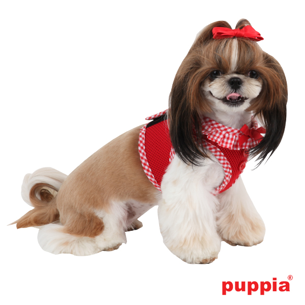 Puppiass14HVivien B 4