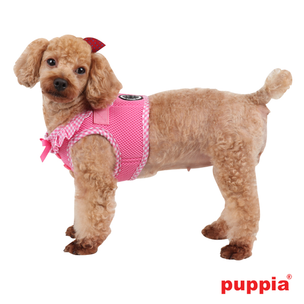 Puppiass14HVivien B 5