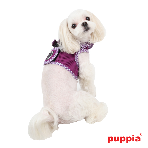 Puppiass14HVivien B 6