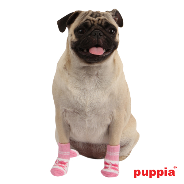 Puppiass14SSSArgyle 3