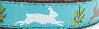 Rabbit Run Cat Harness and Lead set