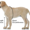 SUITICAL_EN_DOG-MEASURING_RECOVERY-SLEEVES_01_2022