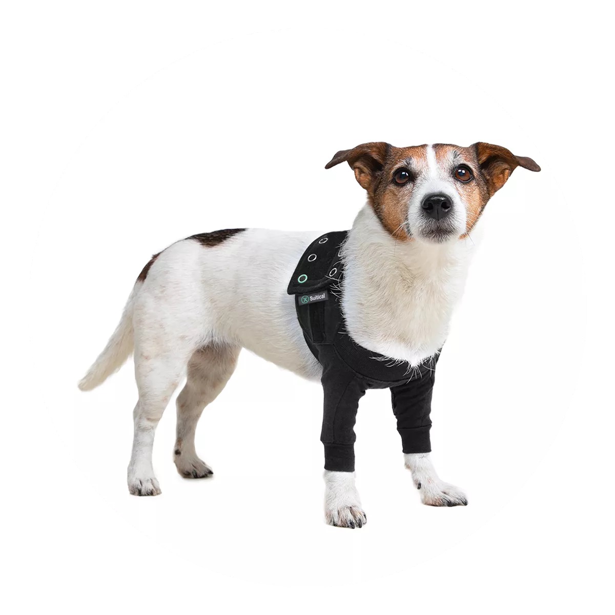 SUITICAL_PRODUCT-WHITE-BG_RECOVERY-SLEEVE-DOG_BLACK_01_2020_V01-0x1200-c-default