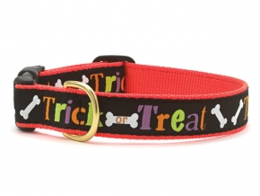 Trick or Treat Cat Collar