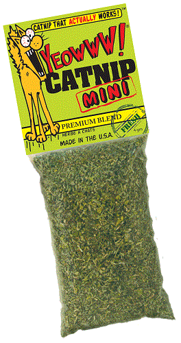 MINI CON ERBA GATTA – Yeowww