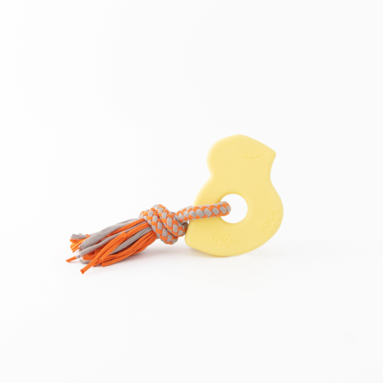 ZippyTuff Teether- Bridget the Bird