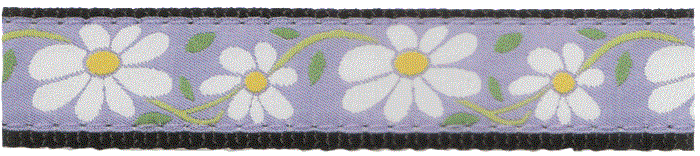 Daisy Cat Harness and Lead set