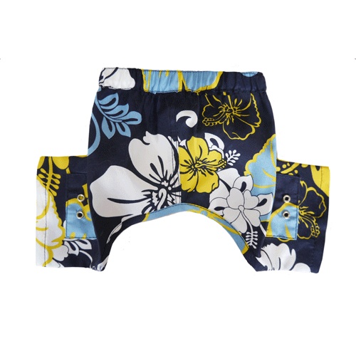 Sebastian Swim Trunks