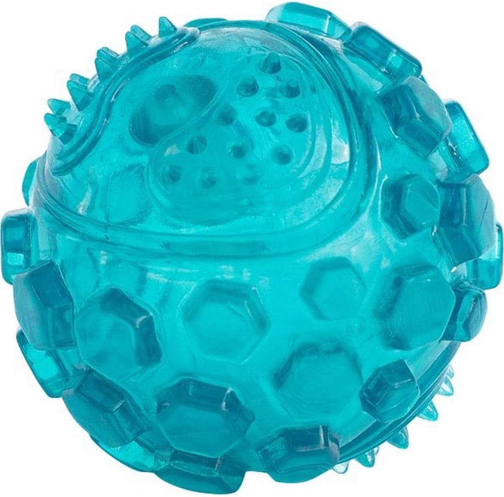 Squeaker Ball – Teal – Small