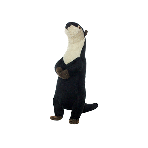 MTJR-S-Meercat_DEFAULT