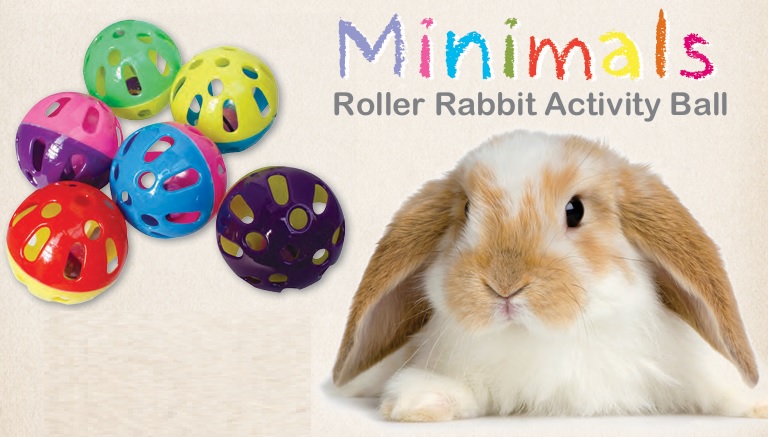 ROLLER RABBIT ACTIVITY BALL