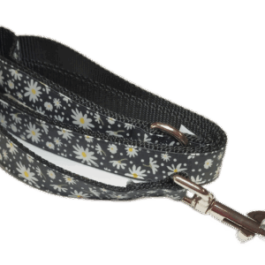 MICHI GUINZAGLIO Delightful Daisies