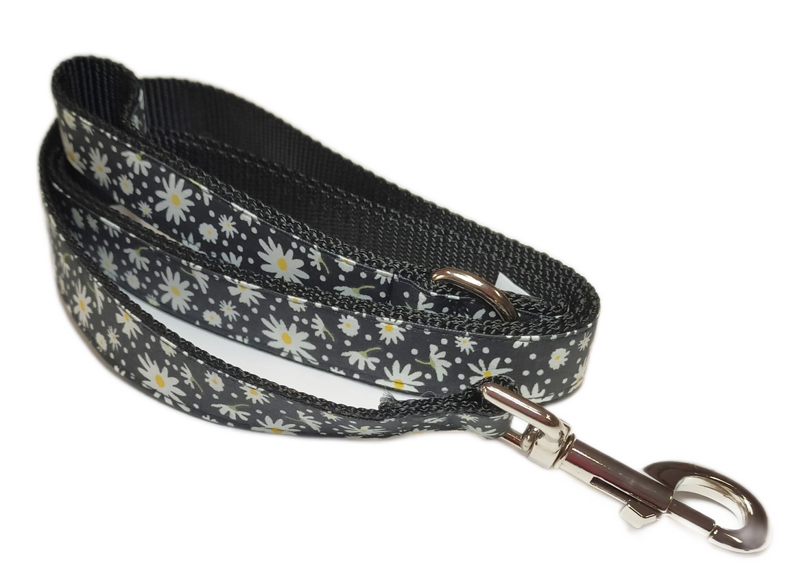 MICHI GUINZAGLIO Delightful Daisies