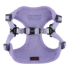 hc1533_vi_2.png