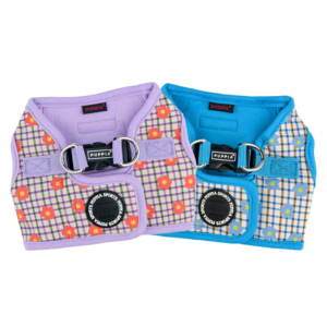 Westley Harness B