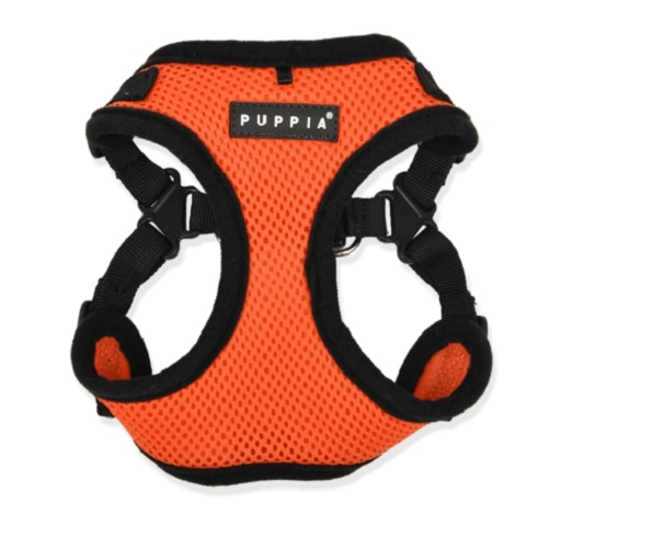 hc1533orange.jpg